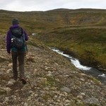 Hiking in the Hornstrandir Nature Reserve | Photo taken by Sarah C