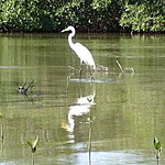 Photo taken by Janice B