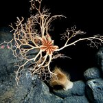 Photo taken by Silvain B