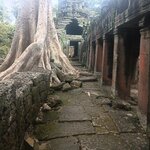 Photo taken by Karen S