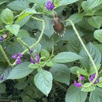 Photo taken by Alexia M