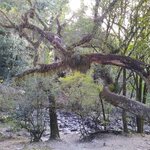 Photo taken by Jenny P