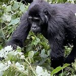 Photo taken by Michael L