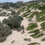 Photo taken by Anne F