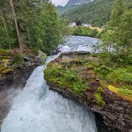 Photo taken by Dani L