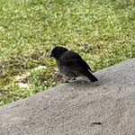 Photo taken by Ben S