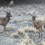 Photo taken by Uriah C