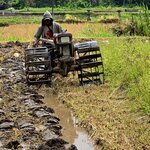 Photo taken by Nancy P