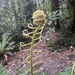 Photo taken by Linda F