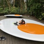 Photo taken by Naomi B