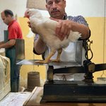 Photo taken by Jennifer H