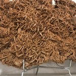 Photo taken by Maria R