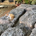 Photo taken by Ellen B