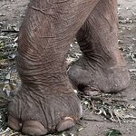 Photo taken by Felice Z