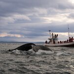 Photo taken by Mark Z