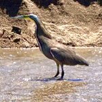 Photo taken by KLAUS A