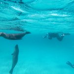 Snorkeling in Bahia Sullivan. | Photo taken by Peter S
