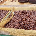 Photo taken by Kathy K