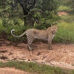 Photo taken by Michael Z