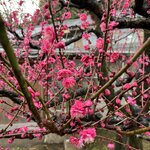 Photo taken by Reid S