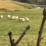 Photo taken by Meg K