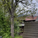 Photo taken by Sylvia S