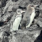 Photo taken by Mark A