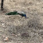 Photo taken by Mary R