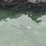 Photo taken by Lisa P