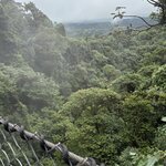 Photo taken by Ora Y