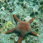 Photo taken by caitrinad@yahoo.co.uk A