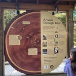 Photo taken by Amy W