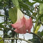 Photo taken by prakash m