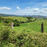 Photo taken by Darlene N