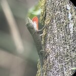 Photo taken by Joyce C