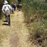 Photo taken by Karen P