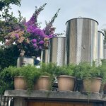 Photo taken by Julie M