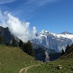 Our introductory trail | Photo taken by Oliver L