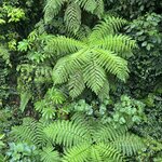 Photo taken by Sabrina R