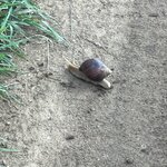 Photo taken by Crystall P