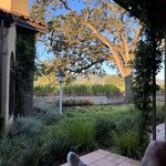 Photo taken by kirsten b