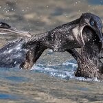 Photo taken by mindy n