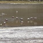 Photo taken by Eric H