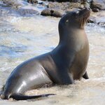 Photo taken by Carla C