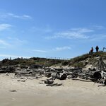 Photo taken by Amy Z