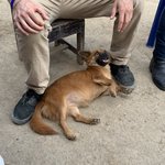 Photo taken by Mike B