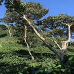 Photo taken by Luke T