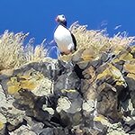 Photo taken by Mark P