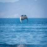 Photo taken by Wilbert A