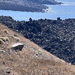 Photo taken by Sharon H